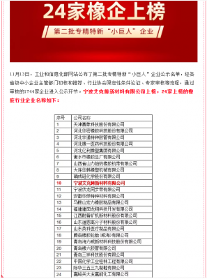 工信部公示第二批專精特新“小巨人”企業(yè)，寧波艾克姆新材料有限公司上榜！